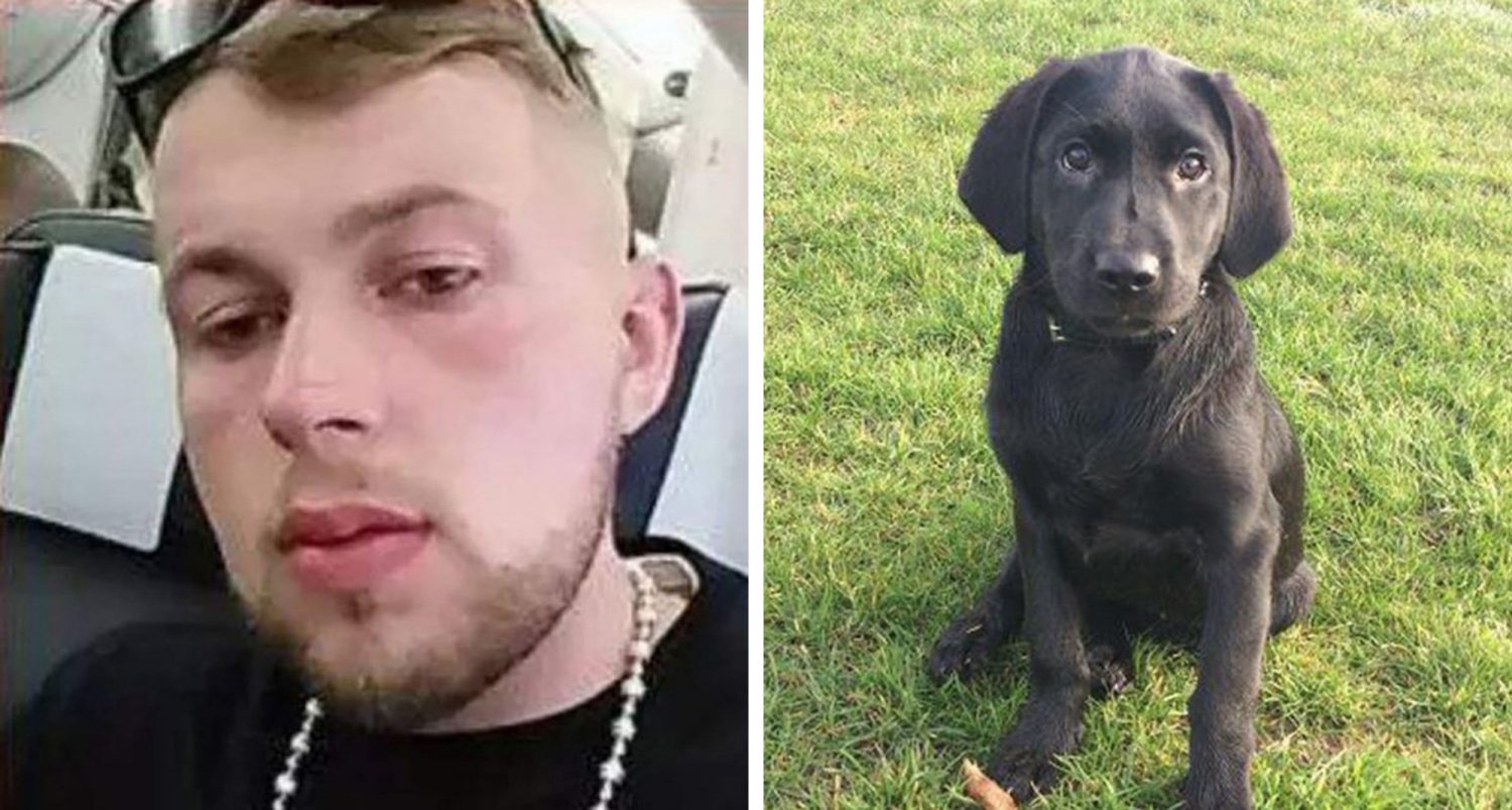 Man Gets 23 Weeks In Prison For Brutally Beating Puppy To Death