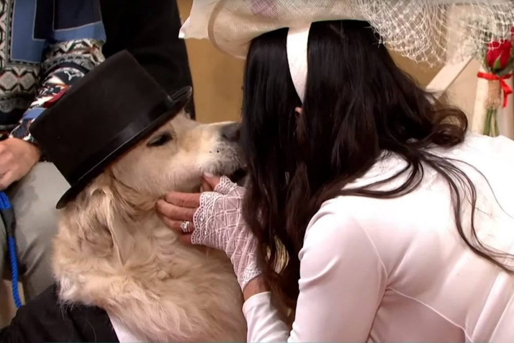 After 220 Bad Dates With Men, This Former Model Decides To Marry Her Dog