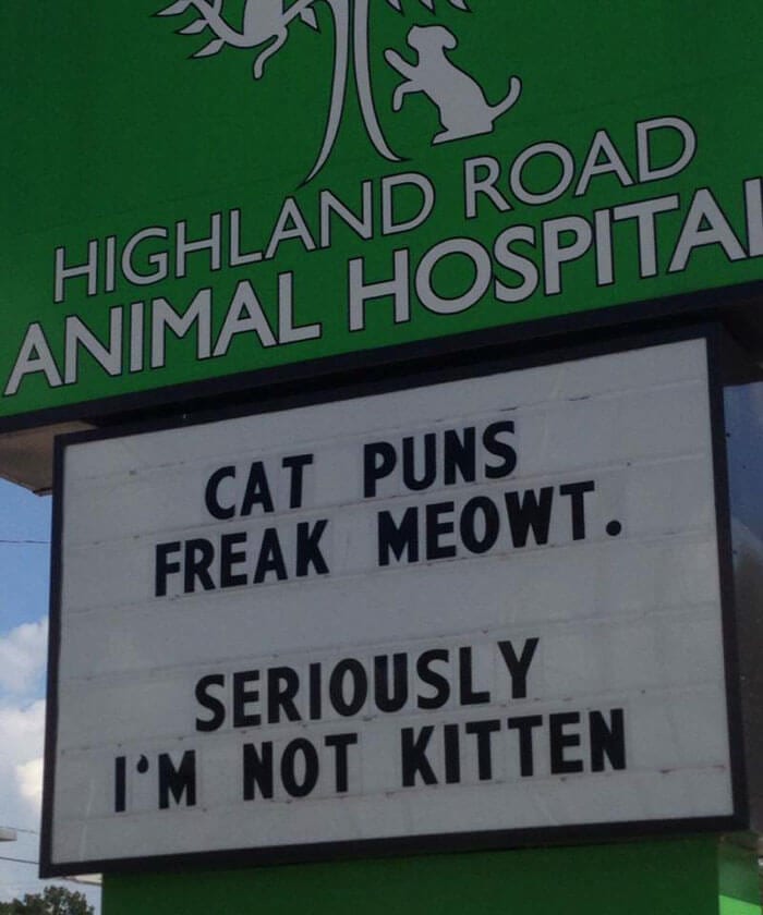 25 vet clinic signs telling hilarious cat jokes