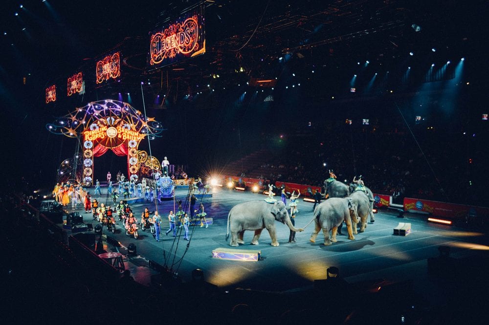 Uk Imposes Ban On Wild Animal Performances In Circuses