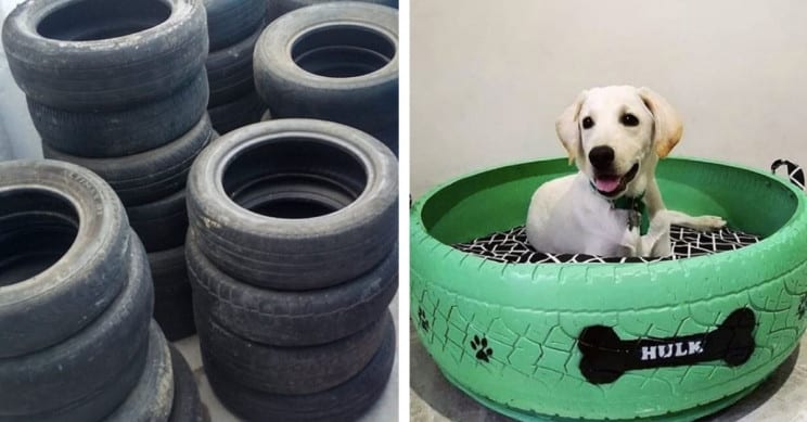 Artist Turns Used Discarded Tires Into Amazing Beds For Animals