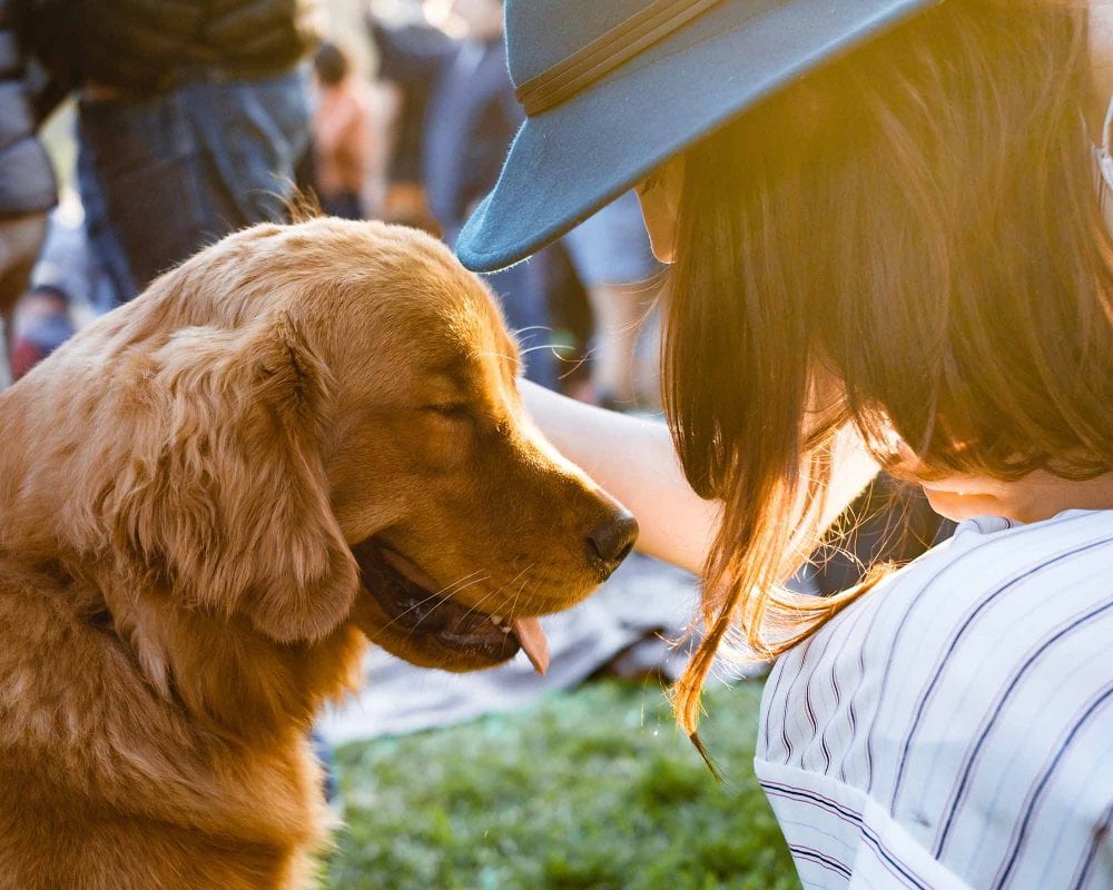 Your Dog Is Talking To You, Here’s How To Understand Them