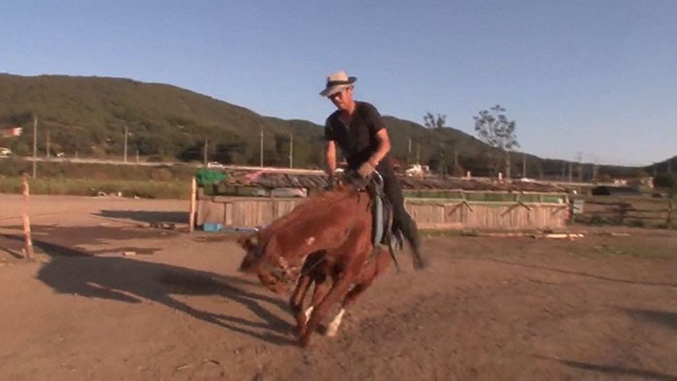 horse acts like he's dead every time someone attempts to ride him