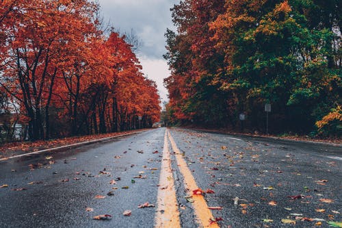 fall in love with fall! 7 reasons to be excited about the fall season