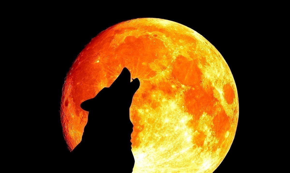 2020 Will Treat Halloween To The First Full Moon In Almost 2 Decades
