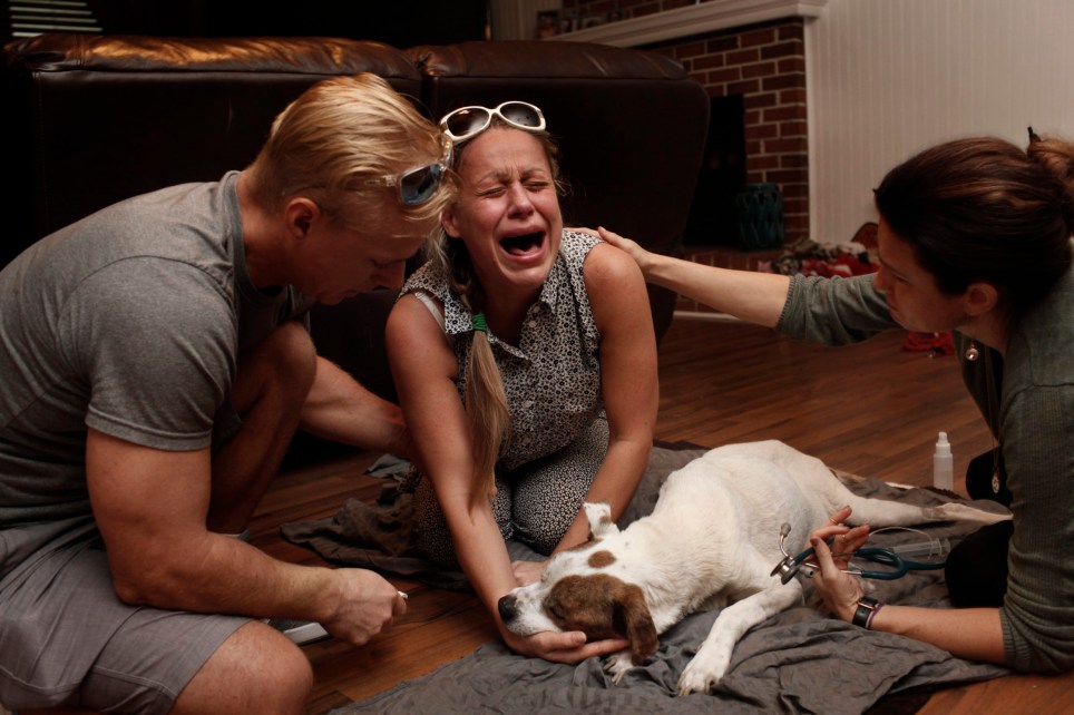 This Photographer Captures The Emotional Final Moments Between Pets And Their Owners