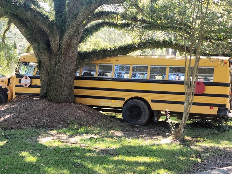 11-year-old steals school bus and flips off the police during a high-speed chase in louisiana, police say