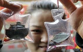 keychains with live animals trapped inside are sold for .50 in china