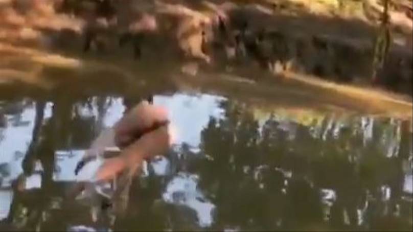 woman falls from rope swing and appears to defy the laws of physics