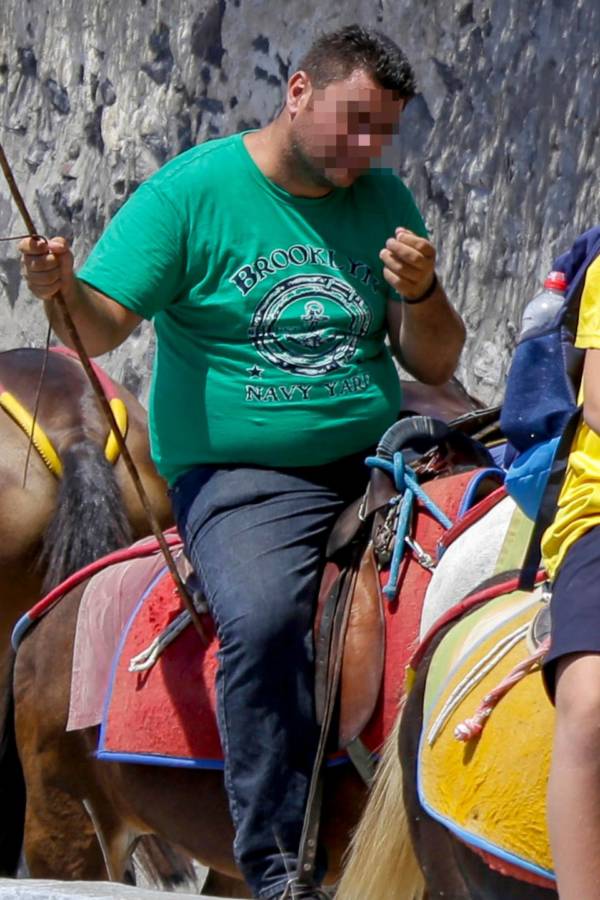 overweight tourists are crippling the donkeys on santorini