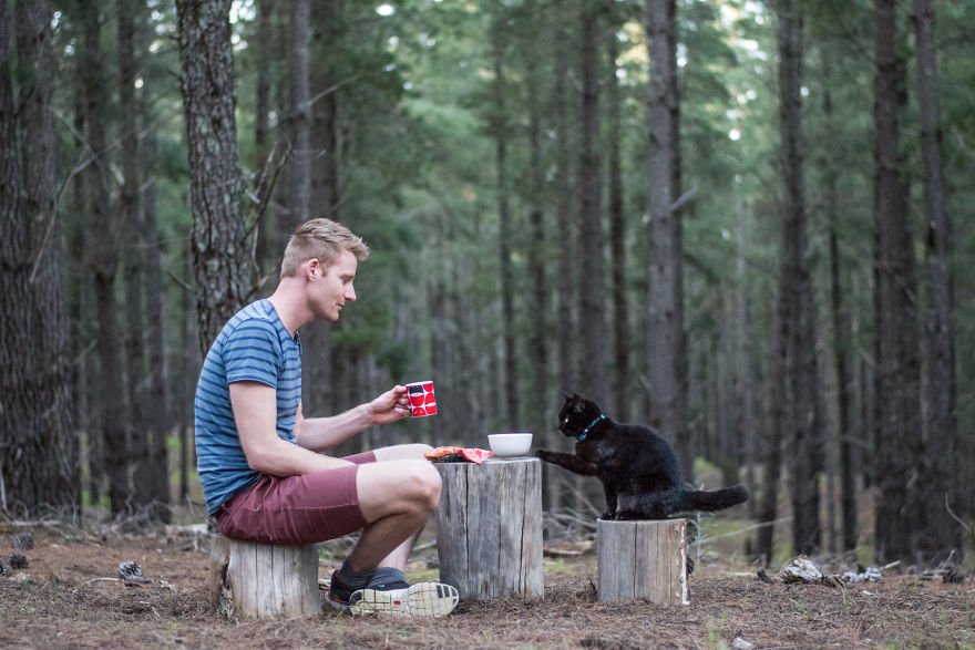 this man resigned his job and sold everything he owned just to travel with his cat
