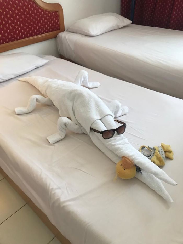 50 times hotels surprised everyone with their creativity