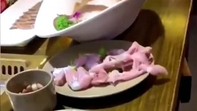 how to be vegan in 30 seconds – watch the video that shows meat 'crawl' away from plate