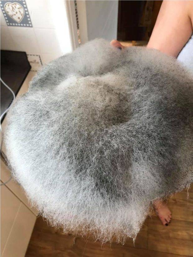 frustrated mom offers teen daughter to a 'good home' after finding festering food plate turn into huge moldy furball