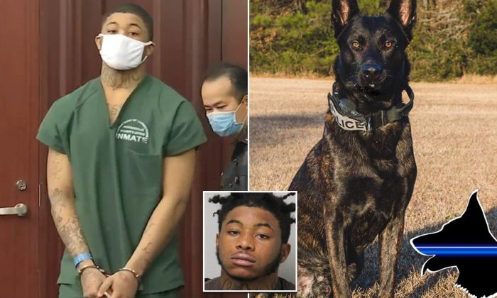 19-year old sentenced to 25 years after fatally shooting police dog named fang