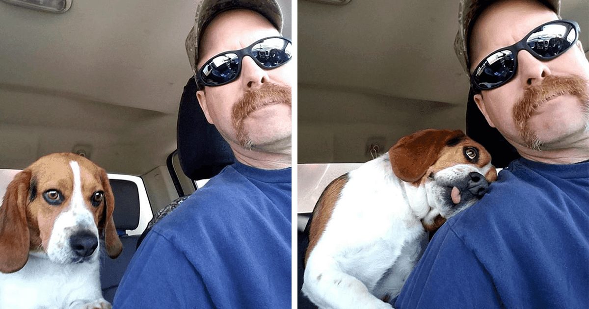 Adorable Beagle Hugs His Rescuer After Being Saved From Euthanasia In A Shelter