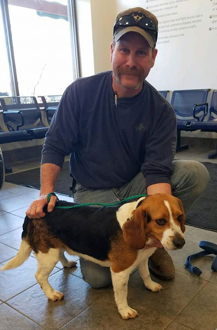 adorable beagle hugs his rescuer after being saved from euthanasia in a shelter