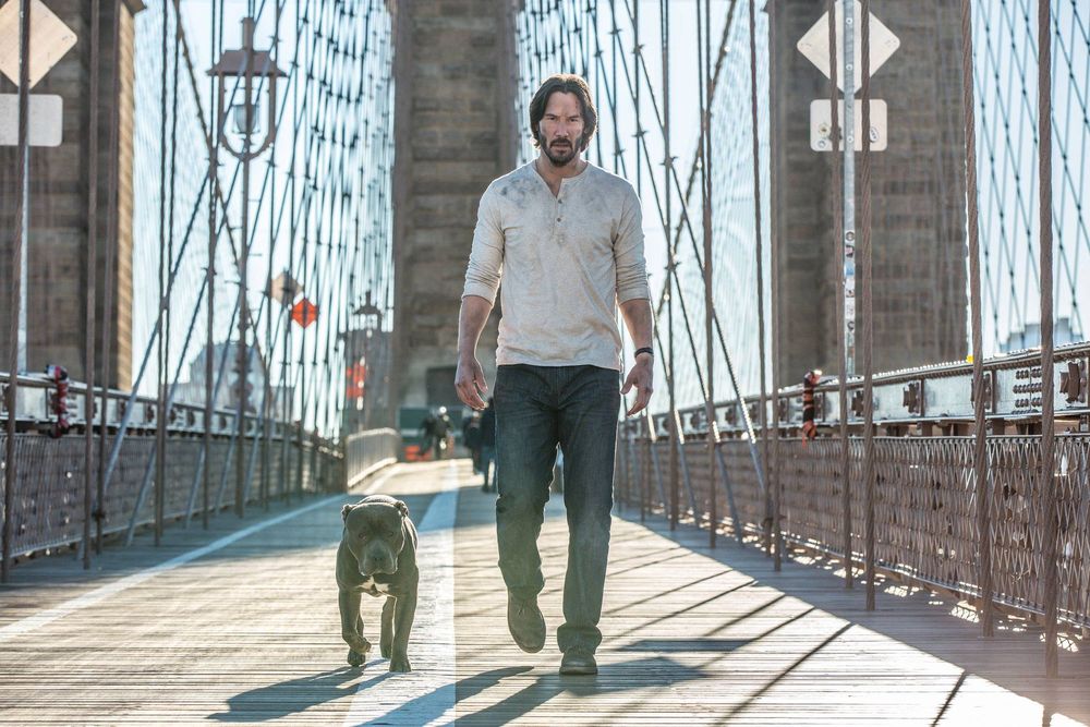 john wick chapter 4 has already been confirmed to hit theaters in may 2021
