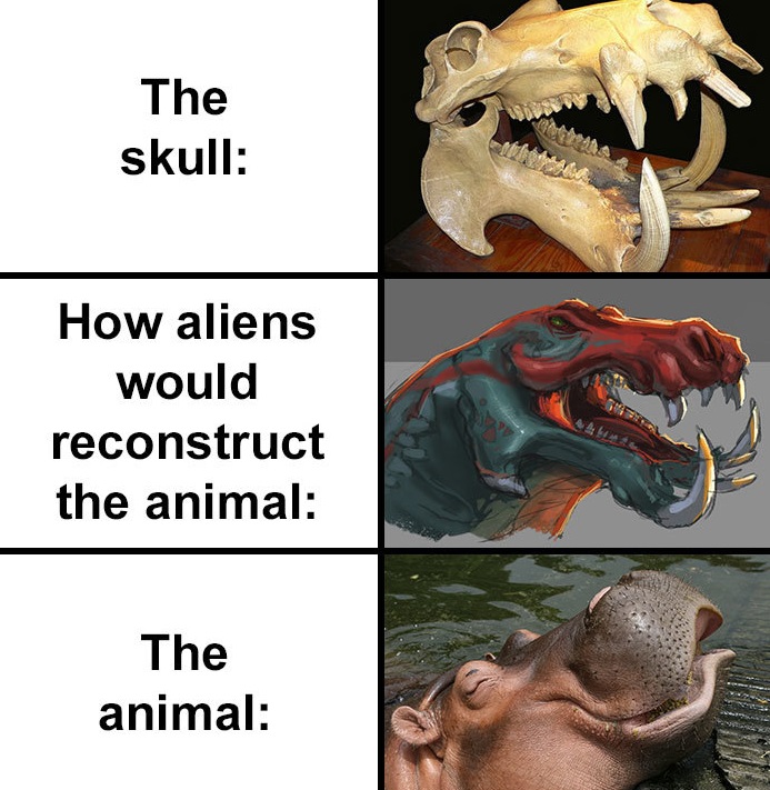 people compare how aliens would reconstruct animals based on their skulls vs. what they really look like