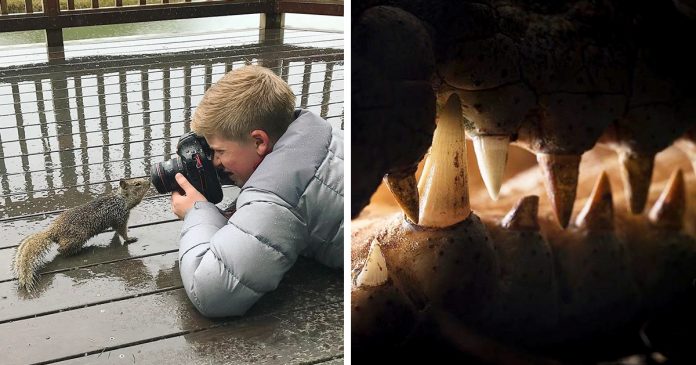 Steve Irwin's Son Is Now An Award-Winning Photographer, And Here Are His Breathtaking Photos To Prove It