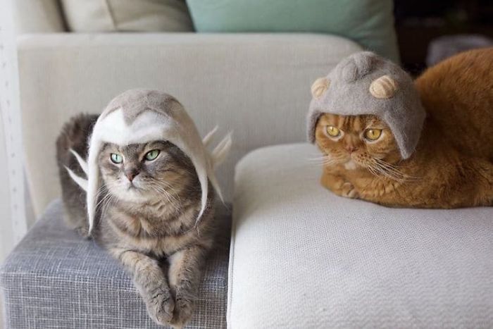 this artist creates adorable cat's hats made from their own fur