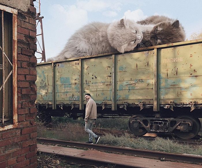 this guy creates images that show how earth would look if cats were much bigger (21 pics)