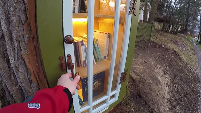 woman turns 110-year-old dead tree stump into free little library for neighborhood, and it looks magical