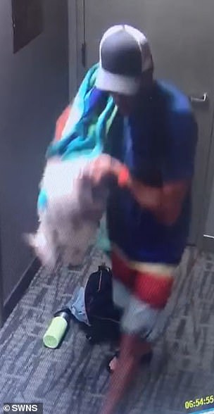 ceo is caught on security camera mercilessly beating his four-month-old puppy named bici, grabbing the whimpering dog by the throat and slapping it around at his santa monica condo