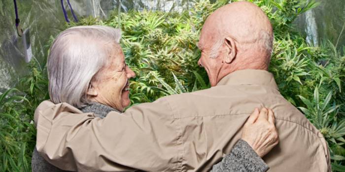 elderly couple busted with 60 pounds of marijuana, claim it's for 'christmas presents'