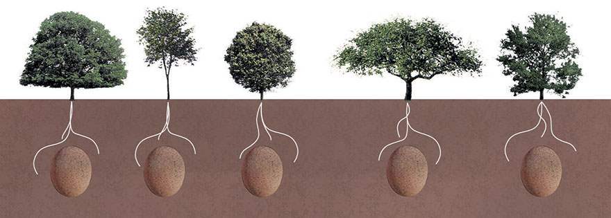 goodbye coffins: these organic burial pods will turn you into a tree when you die