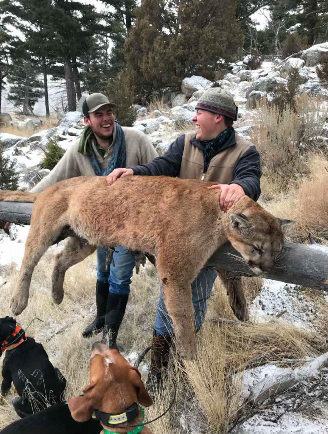 three hunters who illegally killed lion caught after bragging on social media