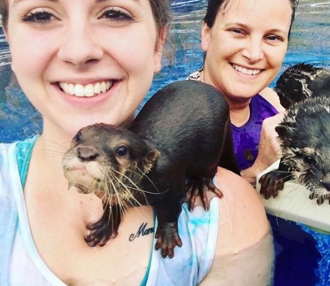 this animal preserve lets guests swim with adorable tiny otters