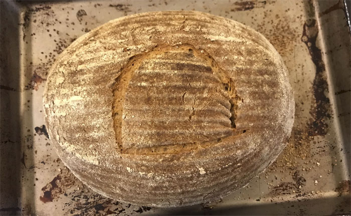 scientist bakes bread from 4,500-year-old yeast, says the flavor is unbelievable