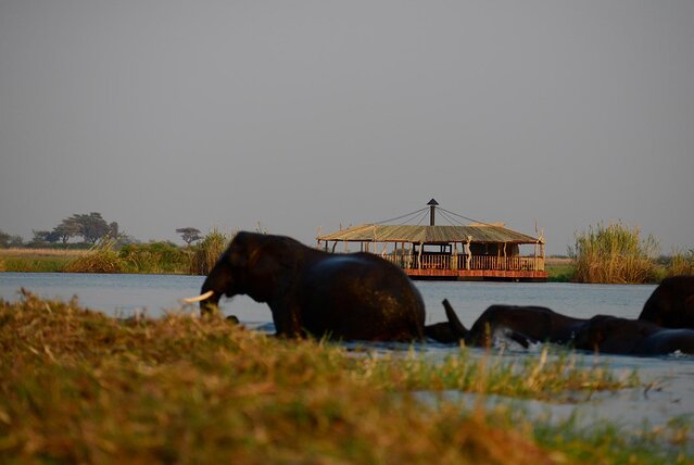 this floating restaurant straddles the borders of 4 african countries — and you can see elephants and hippos while you eat (video)