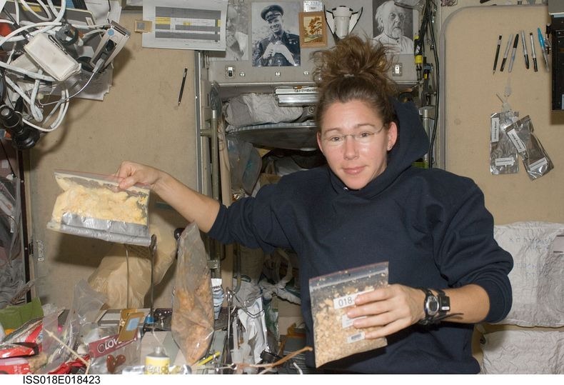 astronaut sandra magnus cooks in zero gravity