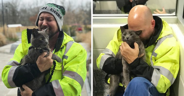truck driver breaks down in tears after meeting his lost travel buddy-cat after 5 months of searching