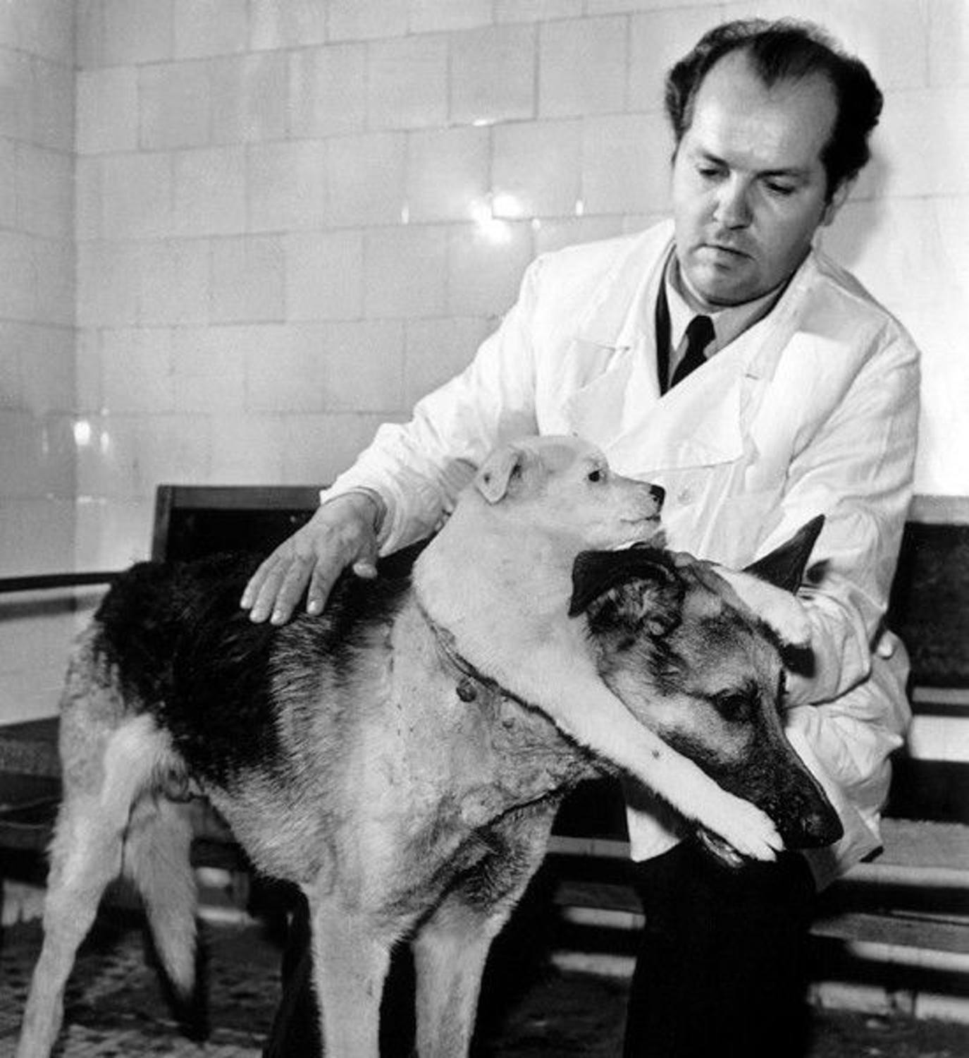 Vladimir Demikhov, The Man Who Made A Two-head Dog
