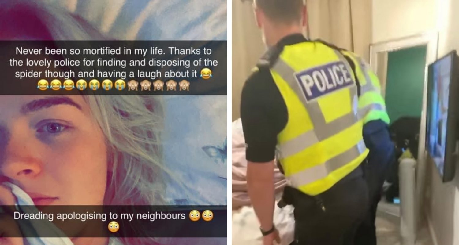 Woman Screamed So Loud At Spider Her Neighbour Called Police