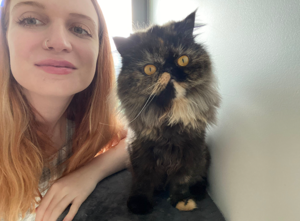 Pet Sitting 101: Interview With A Cat Sitter - Traveling The World While Taking Care Pets