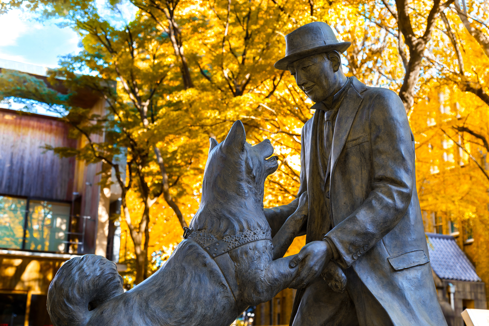 Hachiko The Dog – An Incredible Story Of Loyalty, Love, And Friendship