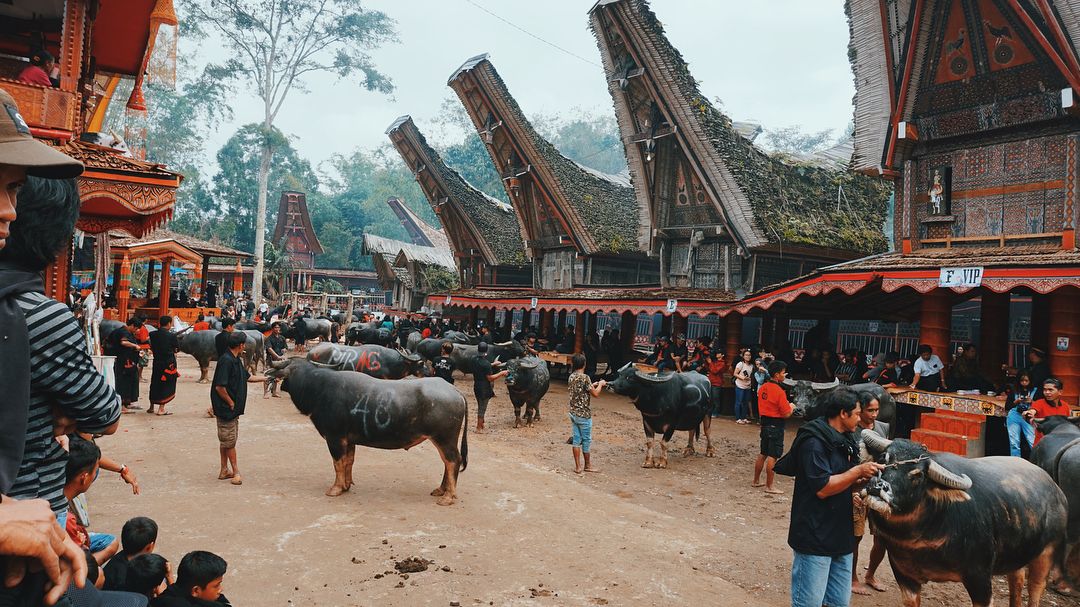 The Toraja Death Ritual: Living With The Dead