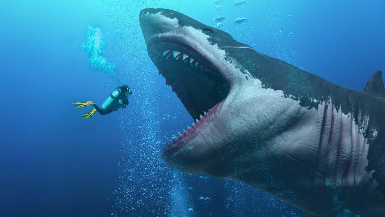 Megalodon: Prehistoric Mega Shark That Mysteriously Extinct