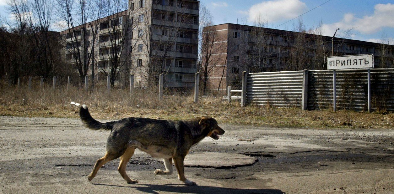 Chornobyl Today: 40+ Devastating Photos Of Post-Apocalyptic World