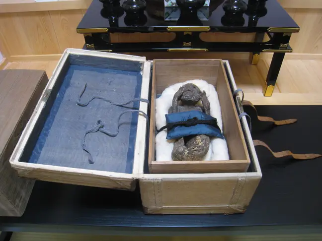 Ancient Mummified 'mermaid' Rumoured To Grant Immortality To Anyone Who Eats It Being Investigated