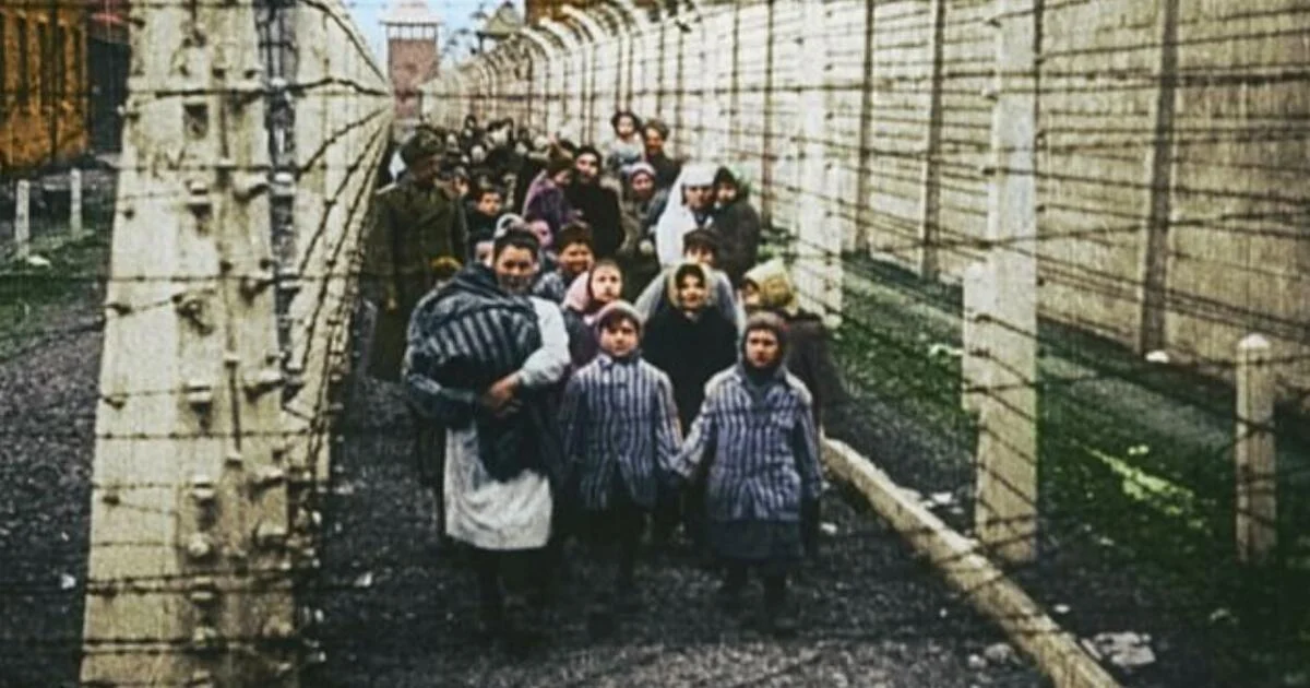 Holocaust Photos: 20 Haunting Images Of The Horror Of Auschwitz, An Emblem Of Nazism