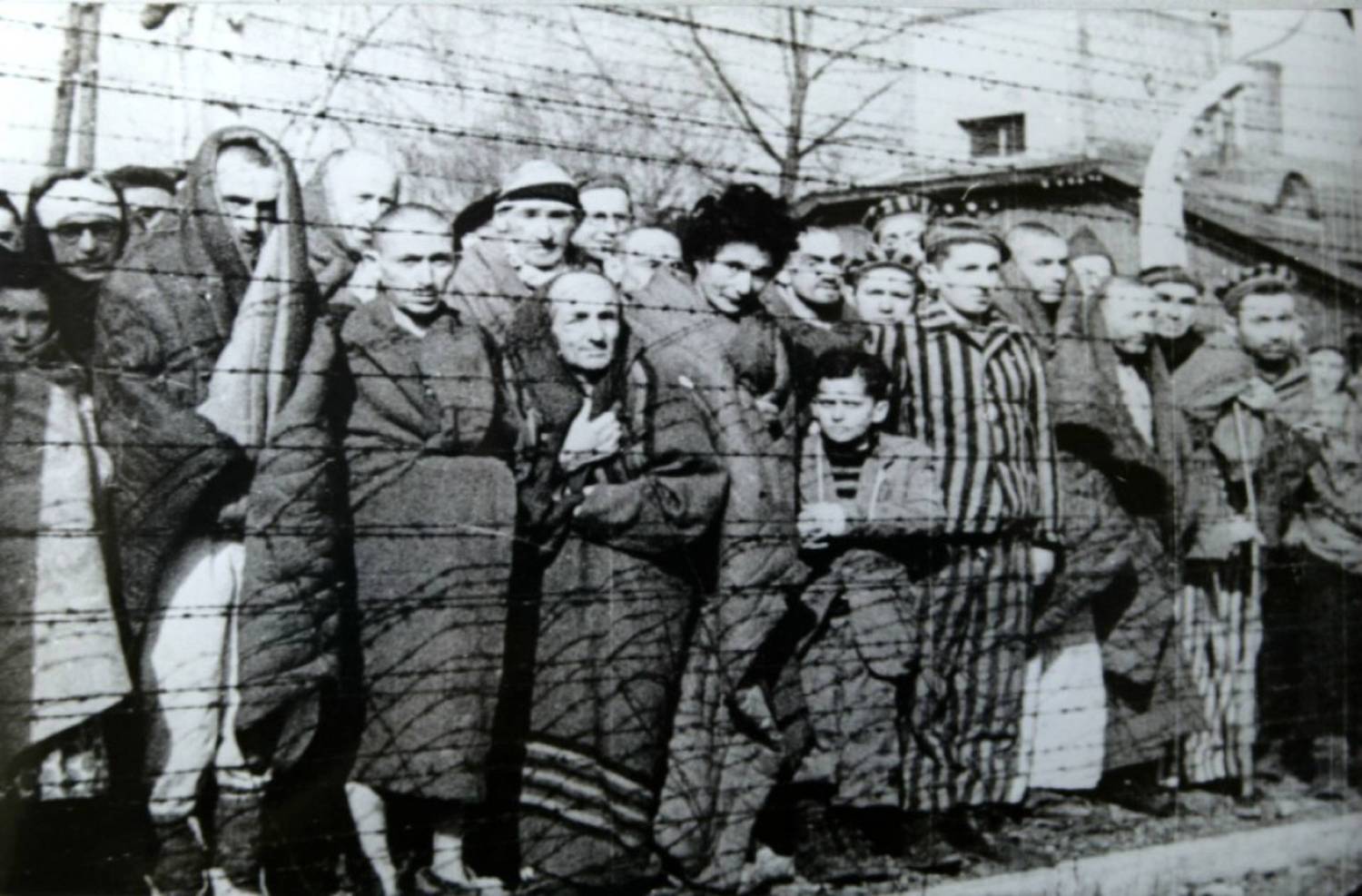 Holocaust Photos: 20 Haunting Images Of The Horror Of Auschwitz, An Emblem Of Nazism