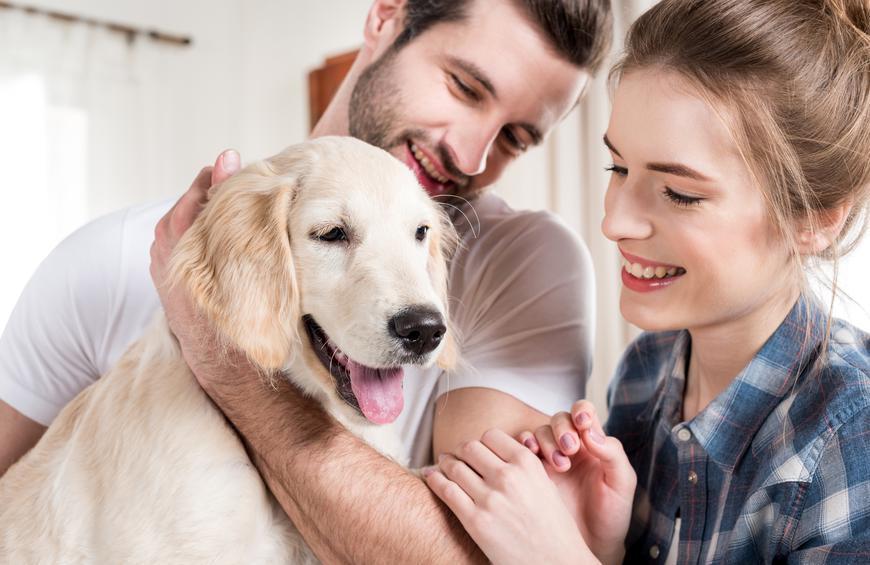 How To Choose The Right Dog For You?