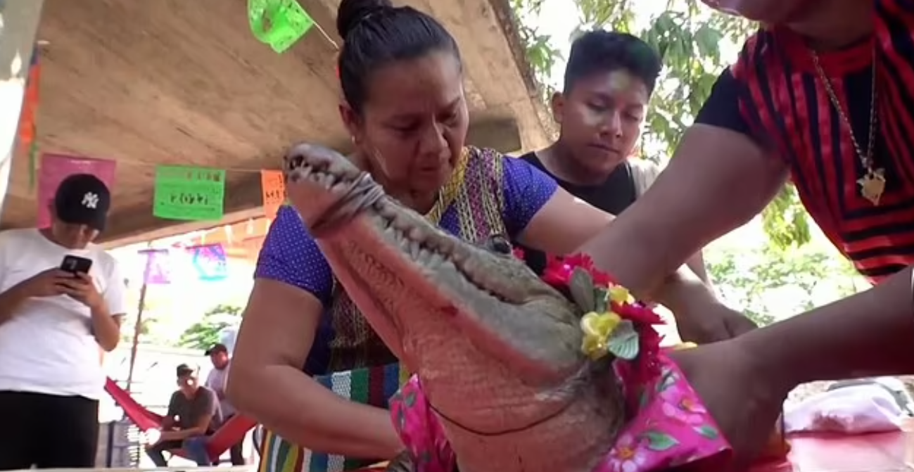 Mexican Mayor Marries An Alligator Wearing A Wedding Dress