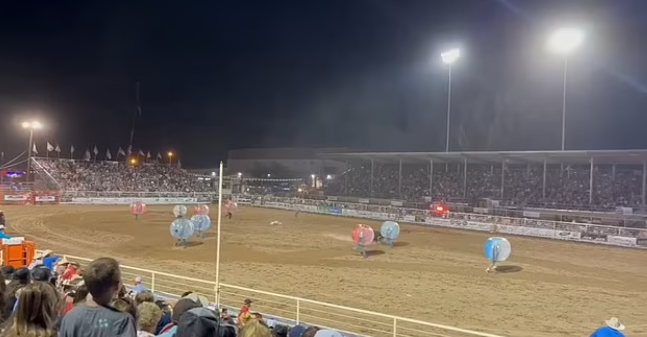 Bull Gores And Stamps On Woman During A Bubble Ball Bull Race Rodeo