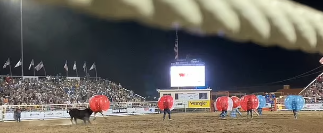 Bull Gores And Stamps On Woman During A Bubble Ball Bull Race Rodeo